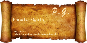 Pandia Gyula névjegykártya